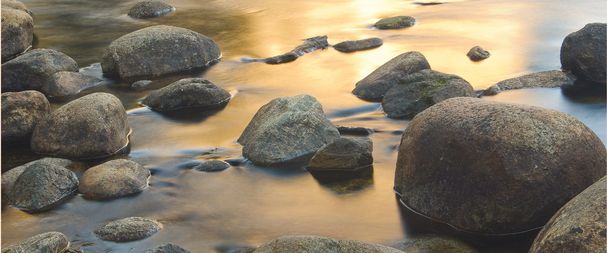 A number of large, smooth rocks on wet sand with the golden sun reflecting in the wet.